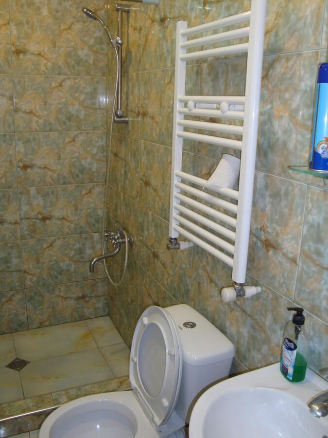 Гостевой дом Chicho Guesthouse Боржоми-18