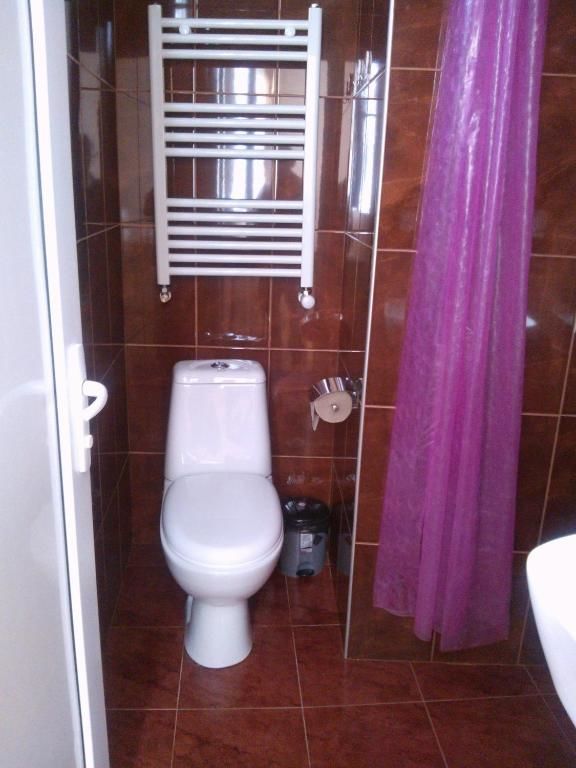 Гостевой дом Chicho Guesthouse Боржоми