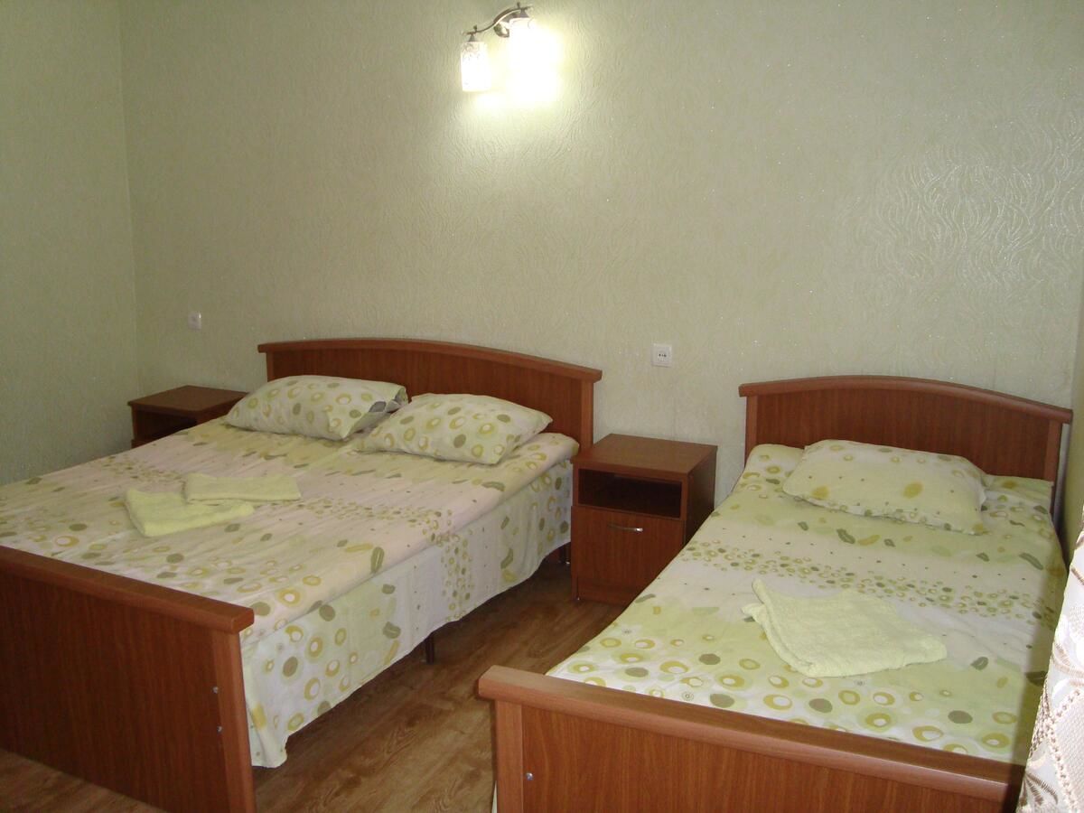 Гостевой дом Chicho Guesthouse Боржоми-12